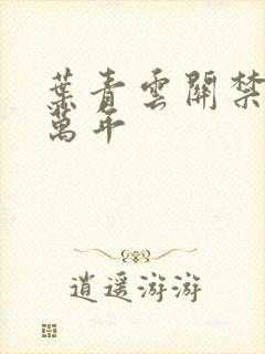 叶青云关禁闭一万年