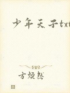 少年天子txt