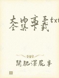 大内高手txt全集下载