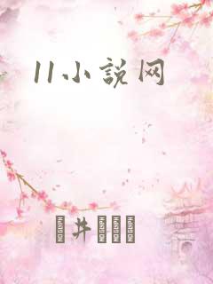 11小说网