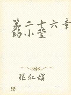 第二十六章满足的小莹