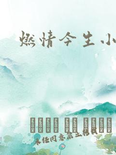 燃情今生小说