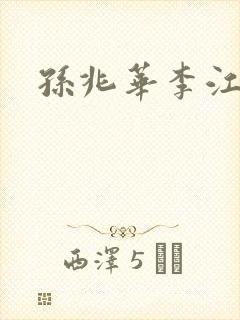 孙兆华李江小说