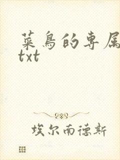 菜鸟的专属大神txt