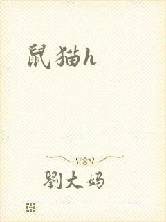 鼠猫h