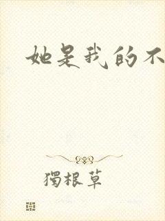 她是我的不准碰