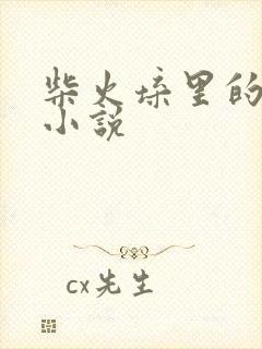 柴火垛里的疯狂小说