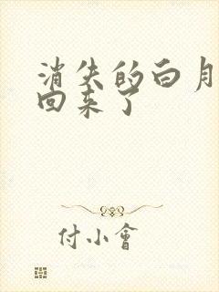 消失的白月光又回来了