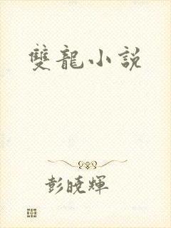 双龙小说