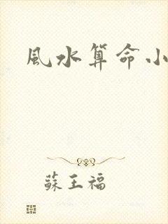 风水算命小说
