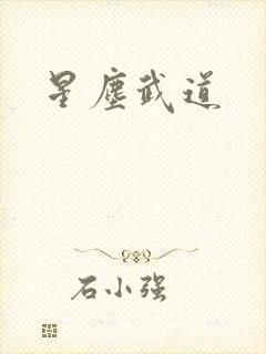 星尘武道