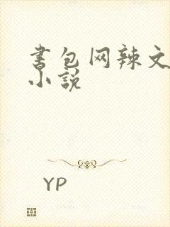 书包网辣文全本小说