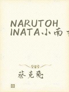 NARUTOHINATA小南本子