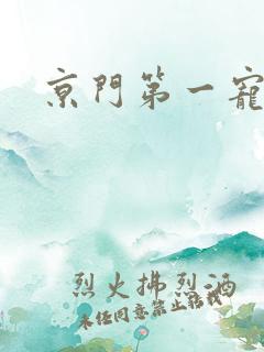 京门第一宠