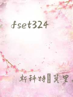 fset324