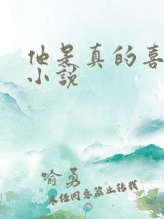 他是真的喜欢你小说