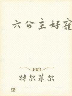 六公主好宠