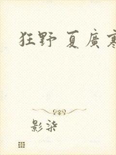 狂野 夏广寒