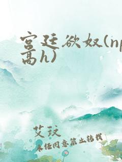宫廷欲奴(np高h)