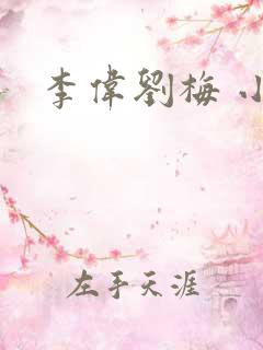 李伟刘梅 小说