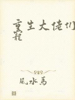 重生大佬们的团宠