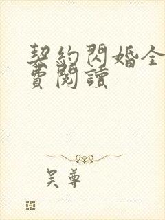 契约闪婚全文免费阅读