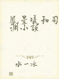 凤晨曦和司鸿颜渊小说