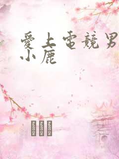 爱上电竞男神林小鹿