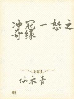 冲冠一怒之合租奇缘