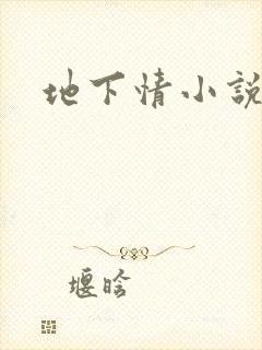 地下情小说
