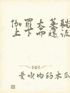 伽罗太华躺在床上下面还流东西