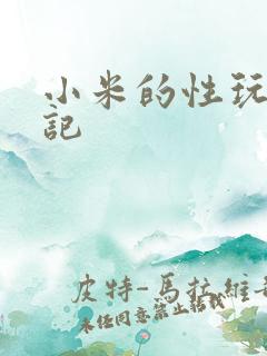 小米的性玩具日记