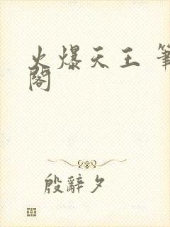 火爆天王 笔趣阁