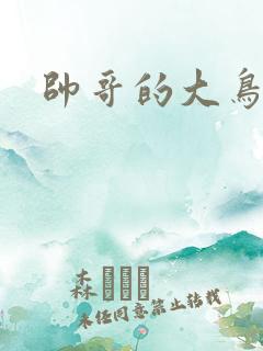 帅哥的大鸟