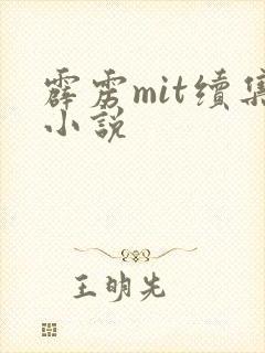 霹雳mit续集小说