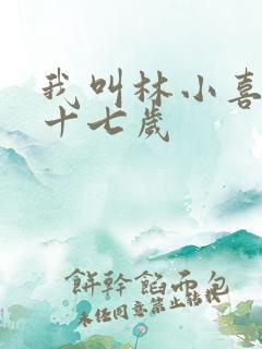 我叫林小喜今年十七岁