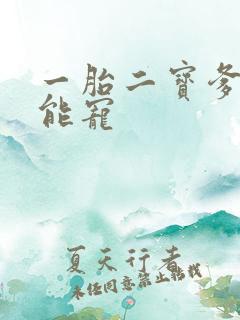 一胎二宝爹地超能宠