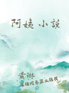 阿姨 小说