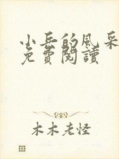 小兵的风采小说免费阅读