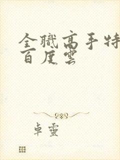 全职高手特别篇百度云