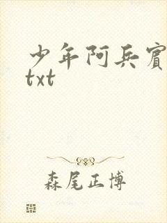 少年阿兵宾小说txt
