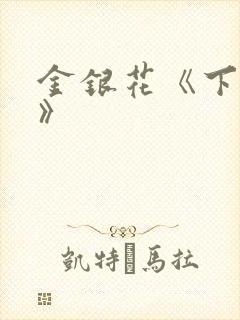 金银花《下厨房》