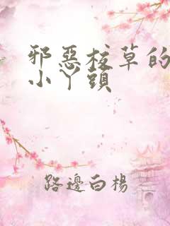 邪恶校草的拽拽小丫头