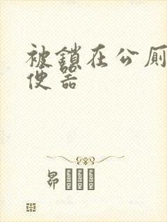 被锁在公厕当坐便器