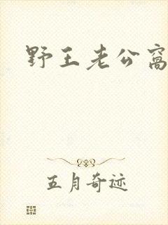 野王老公窝