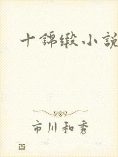 十锦缎小说