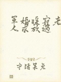 军婚暖宠老公大人求放过