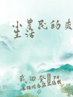 小农民的爽歪歪生活