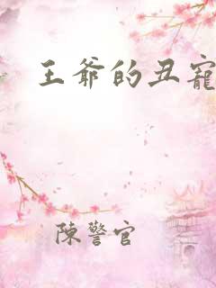 王爷的丑宠