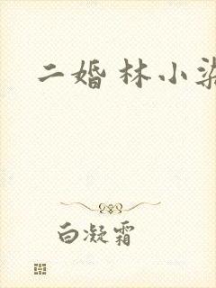 二婚 林小染